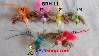 large2 BRH 11 b